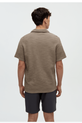 Man wearing a brown striped polo shirt and dark shorts on a light gray background