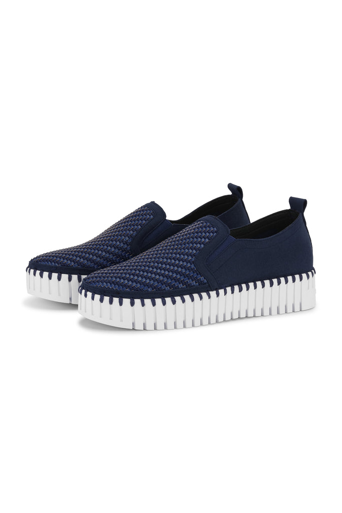 Tulip3876 - Dk. Indigo