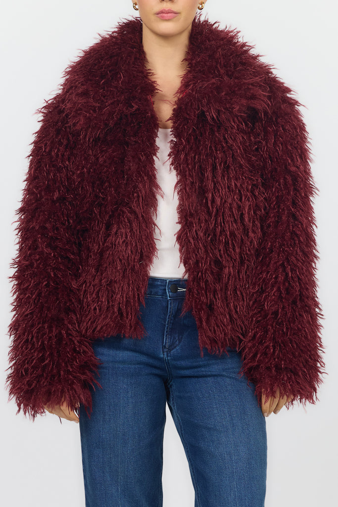 Bardot Jacket