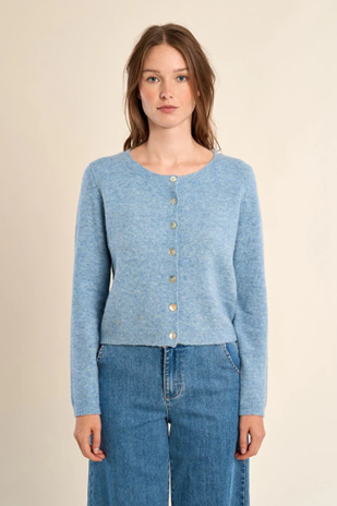 Blue Cardigan