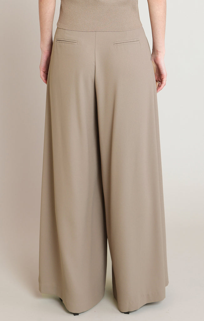 Pleated Pants
