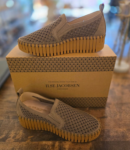 Tulip 4078 - Wedge