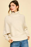Turtleneck Dolman Sweater